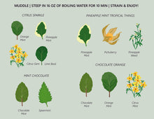 Load image into Gallery viewer, Leaf & Herb Tisane