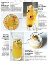 Load image into Gallery viewer, JUNE: Cocktail Party Box