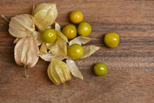 Load image into Gallery viewer, Pichuberry