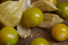 Load image into Gallery viewer, Pichuberry