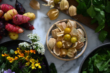 Load image into Gallery viewer, Pichuberry