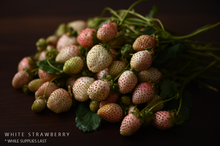 Load image into Gallery viewer, Christmas Box 2020 (Ships Free)